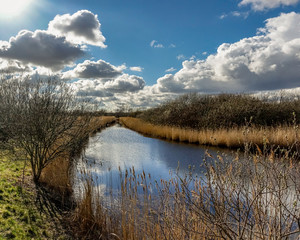 Stream reflecting beautiful cumulus clouds on a day in late March