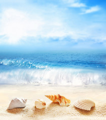 Obraz na płótnie Canvas Summer beach. Seashell on a sand and ocean.