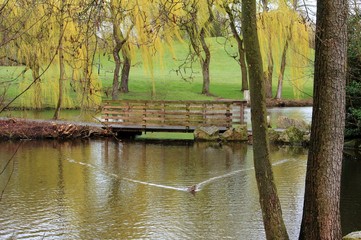 die Brücke im Park