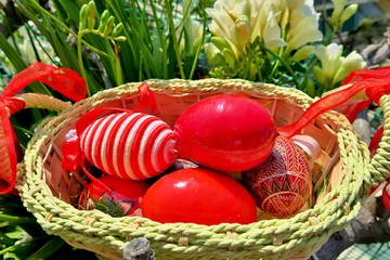 Easter basket with red painted eggs, spring sunny day 