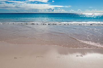 Footprints in the Sand, on the Island of Bermuda