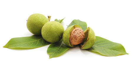 Green walnuts with leaves. - Powered by Adobe