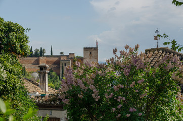  Beautiful views of Granada and the Albaicin neighborhood