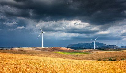 Windmill on the field