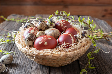 Easter eggs dyed with onion peels and quail eggs