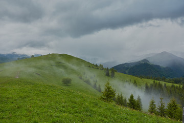 mountainous landscape with forested hills. beautiful summer