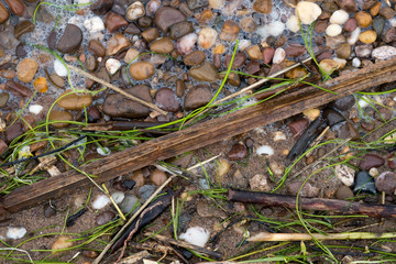 Debris washed up on a pebble beach