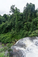 Water falling over the cliff with thick jungle vegetation in the background