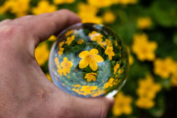 Glass ball - crystal ball flower
