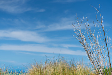 Fototapeta premium Stony beach with sea and blue sky beyond as scenic background image
