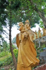 10 thousand buddhas monastery kloster in hong kong