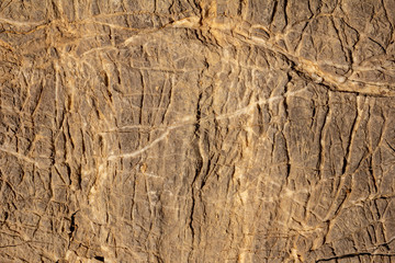Stone texture (limestone)
