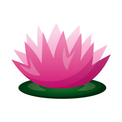 lotus flower decoration