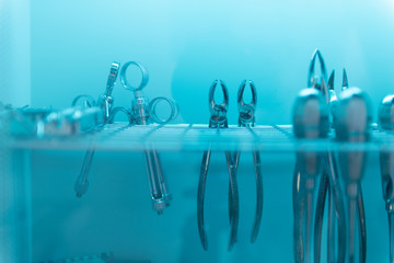 dental forceps for teeth removal are sterilized in the chamber under an ultraviolet lamp