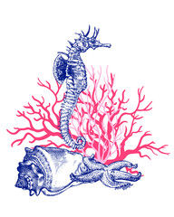 Sea shells, sea horse, sea star and corals © Nadiia