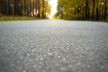 road from the ground level - shallow depth of field and trees bokeh.