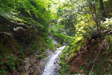 Obraz premium Alps in summer