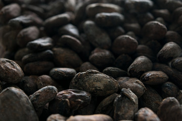 cacao beans background