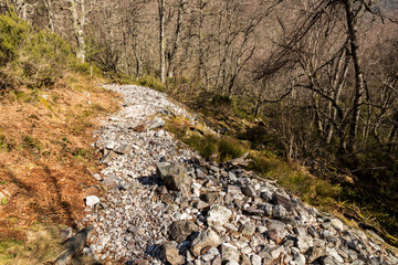 Asturias, Spain. The Muniellos Nature Reserve (Reserva natural integral), protected area of woodland along the valley of the river Muniellos-Tablizas
