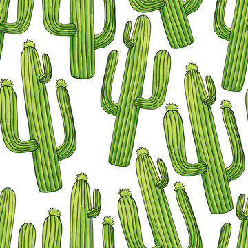 Exotic green cactuses seamless pattern. Tropic succulents and flowering plants. Mexican style background with plants, cartoon drawing. Succulent wrapping paper flat vector fill