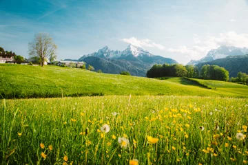 Papier Peint photo Couleur pistache Paysage idyllique dans les Alpes avec des prairies fleuries au printemps