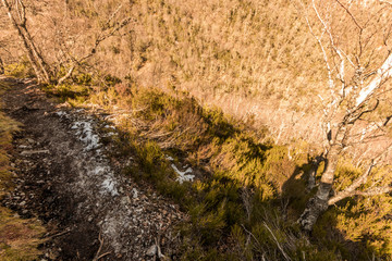 Asturias, Spain. The Muniellos Nature Reserve (Reserva natural integral), protected area of woodland along the valley of the river Muniellos-Tablizas