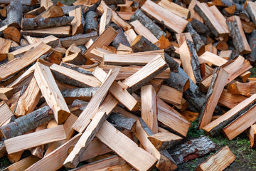 Preparation of firewood for the winter. firewood background, Stacks of firewood in the forest.