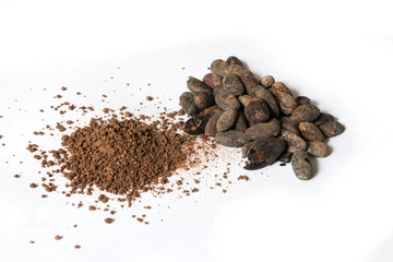 cacao beans on white backgroud