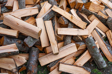 Preparation of firewood for the winter. firewood background, Stacks of firewood in the forest.