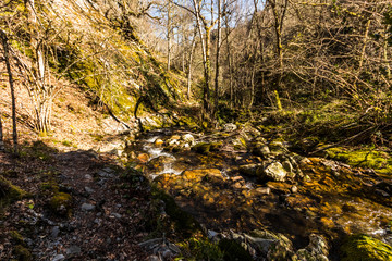 Asturias, Spain. The Muniellos Nature Reserve (Reserva natural integral), protected area of woodland along the valley of the river Muniellos-Tablizas