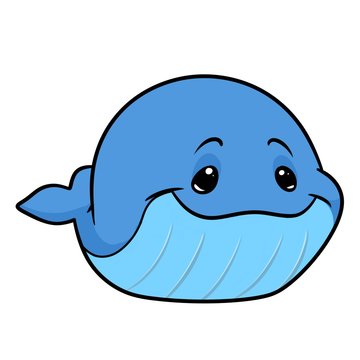 Little whale animal character  cartoon illustration isolated image 