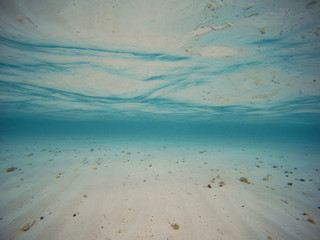 Fototapeta na wymiar picture taken underwater. Clear blue water and white sand.