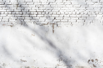 texture of old white brick wall with destroyed plaster layer and shadows from trees, architecture...
