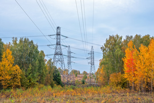 Power lines in autumn forest