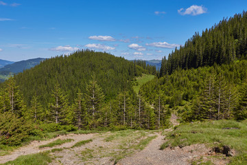 composite landscape. fence near the cross road on hillside meadow in mountains.