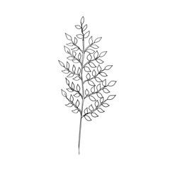 black and white plant, black and white graphic flower