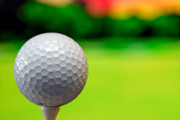Close up photo of a golf ball in the golf course in a warm sunset light