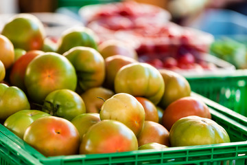 Closeup of many green unripe or ripe heirloom large red yellow green tomatoes on display farmers market shop store grocery supermarket in box crate in Italy