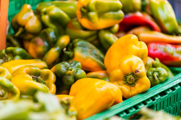 Closeup of many green yellow ripe large yellow green tomatoes on display farmers market shop store grocery supermarket in box crate in Italy