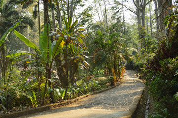 Camino