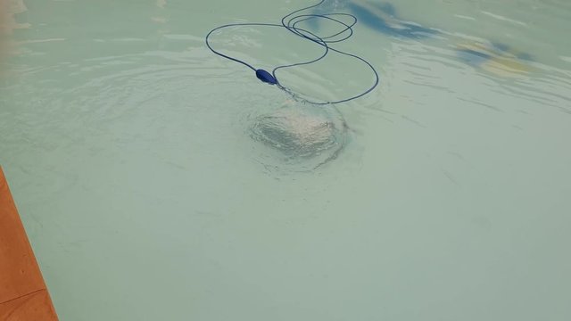 An automatic robot pool cleaner swimming pool removing debris and algae 