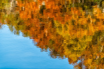 Great Falls trees reflection view in canal lake river surface during autumn in Maryland colorful...