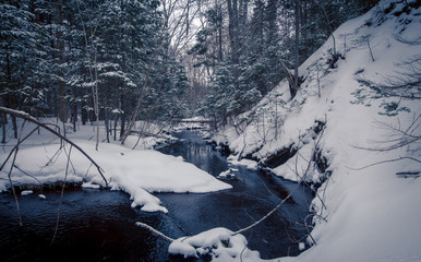 Creek in the winter