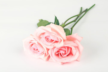 pink roses on a light background