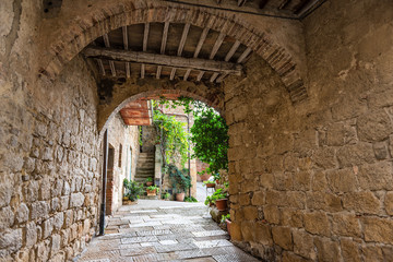Monticchiello, Italy Val D'Orcia countryside in Tuscany with empty street alley narrow arch archway tunnel in small town village with nobody and green plants
