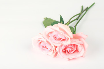 Naklejka premium pink roses on a light background