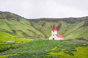 Landscape view of green mountain on cloudy day southern ring road or golden circle and red roof church in Vik city village with lupine flowers in summer