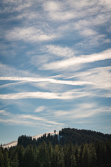  Forest and mountains landscape