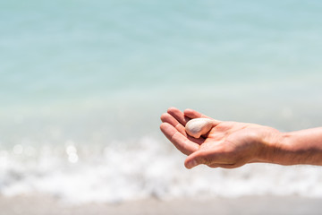 Male or female hand closeup holding one white seashell sea shell during shelling fun activity on Sanibel Island, Florida during day with bokeh of sparkles in ocean water waves Gulf of Mexico