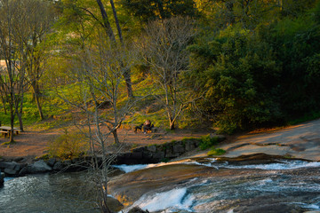 Pareja disfrutando de la naturaleza.